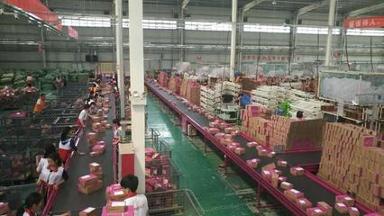 2018年河南外貿首破5500億元！河南商務經濟“家底”豐厚，技術進出口成新亮點